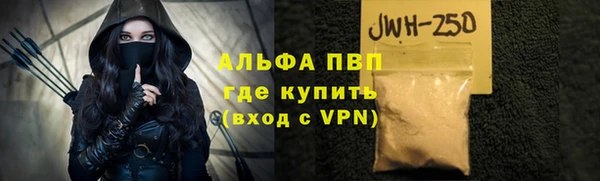 шишки Новозыбков