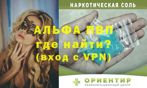 стаф Алексин