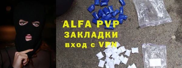 стаф Алексин