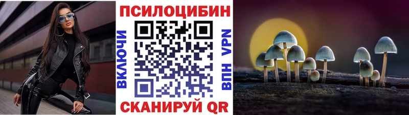 Псилоцибиновые грибы ЛСД  что такое   Камышин 