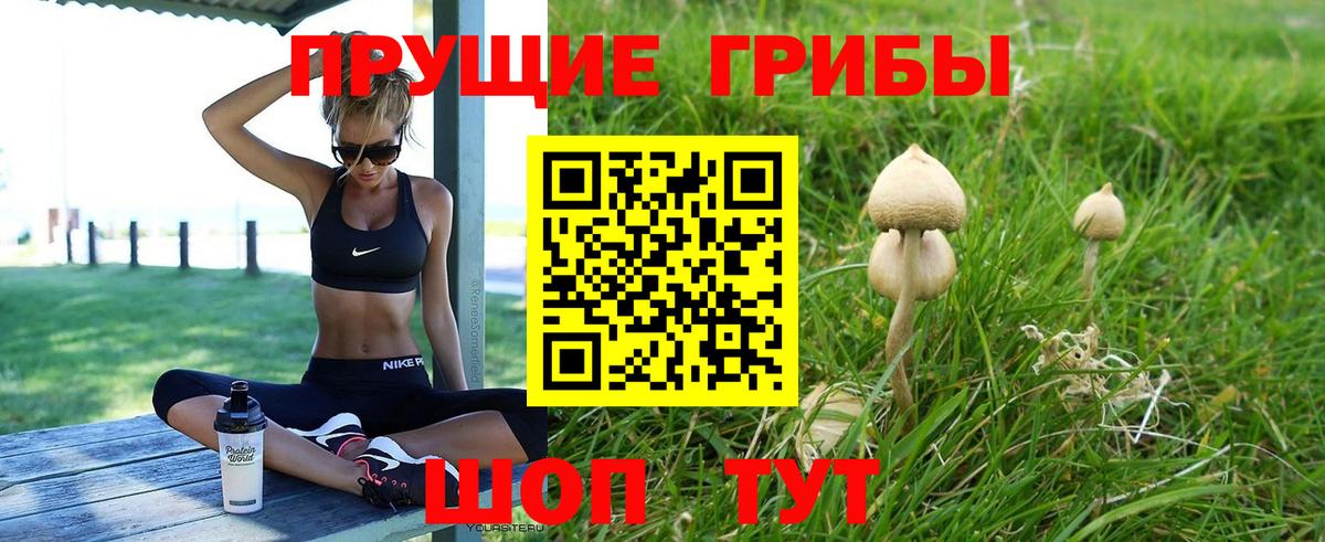 Камышин  Галлюциногенные грибы MAGIC MUSHROOMS  Вход с VPN 